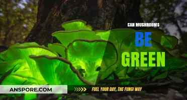 Exploring Nature's Palette: Can Mushrooms Actually Be Green?