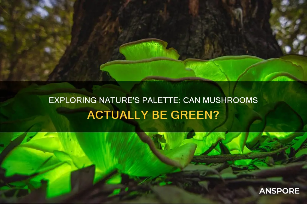 can mushrooms be green