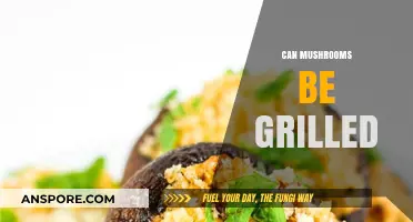 Grilled Mushrooms: Tips, Techniques, and Delicious Recipes to Try