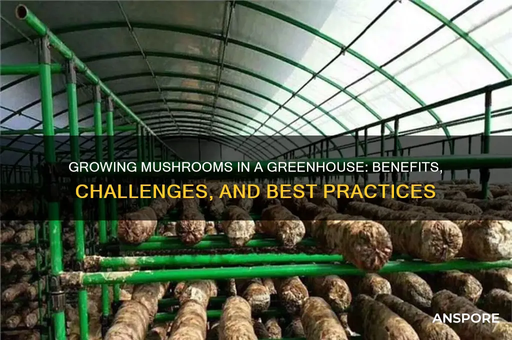 can mushrooms be grown in a greenhouse