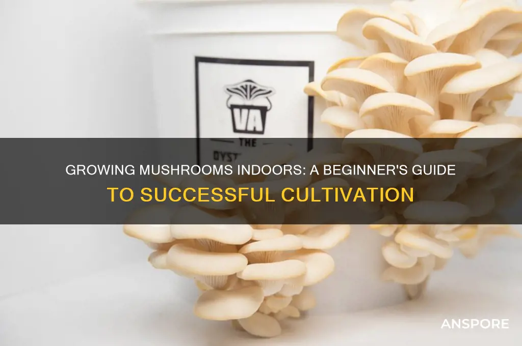 can mushrooms be grown indoors