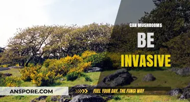 Are Mushrooms Invasive? Exploring Their Impact on Ecosystems