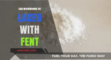 Are Mushrooms Being Laced with Fentanyl? What You Need to Know