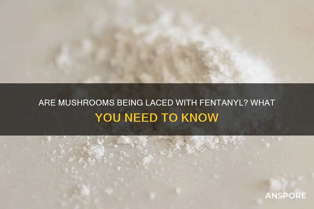 can mushrooms be laced with fent