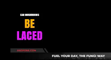 Can Mushrooms Be Laced? Uncovering Risks and Realities of Tainted Fungi