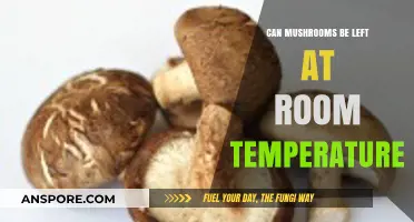 Mushrooms at Room Temp: Safe Storage Tips and Risks