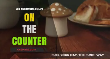Can Mushrooms Stay Fresh on the Counter? Storage Tips Revealed