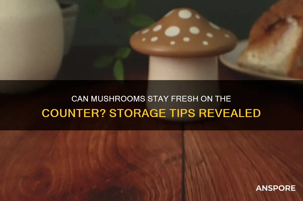 can mushrooms be left on the counter