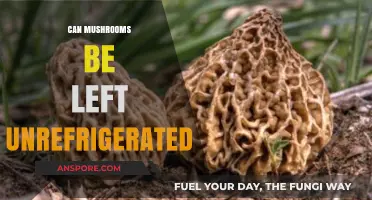 Can Mushrooms Stay Fresh Without Refrigeration? Storage Tips Revealed