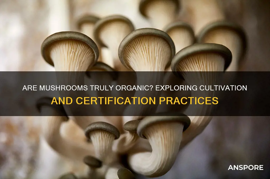 can mushrooms be organic