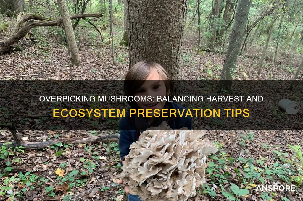 can mushrooms be overpicked