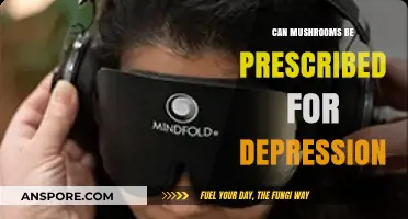Prescribing Mushrooms for Depression: Exploring the Potential of Psychedelic Therapy