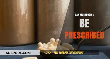 Prescribing Mushrooms: Exploring Medicinal Potential and Legal Considerations