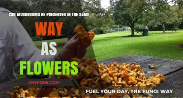 Preserving Mushrooms Like Flowers: Techniques, Challenges, and Creative Ideas
