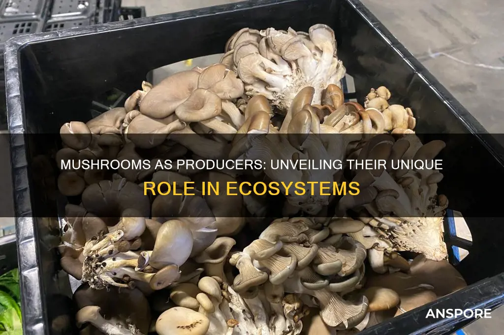 can mushrooms be producers