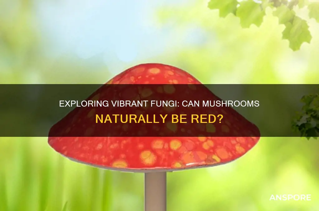 can mushrooms be red