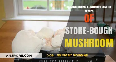 Growing Mushrooms from Store-Bought Spores: A Beginner's Guide