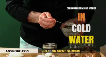 Storing Mushrooms in Cold Water: Benefits, Risks, and Best Practices