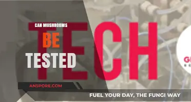 Testing Mushrooms: Methods, Safety, and Scientific Insights Explained