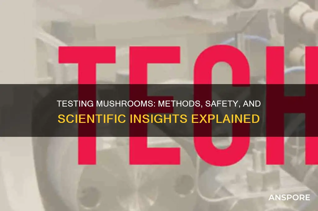 can mushrooms be tested