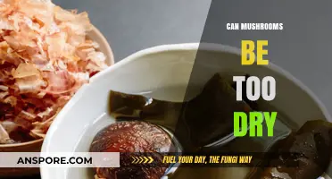 Are Your Mushrooms Too Dry? Signs, Risks, and Solutions