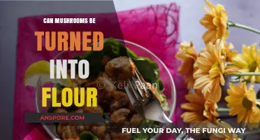 Transforming Mushrooms into Flour: A Sustainable Baking Alternative