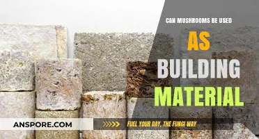 Mushrooms as Eco-Friendly Building Material: Sustainable Construction Innovation