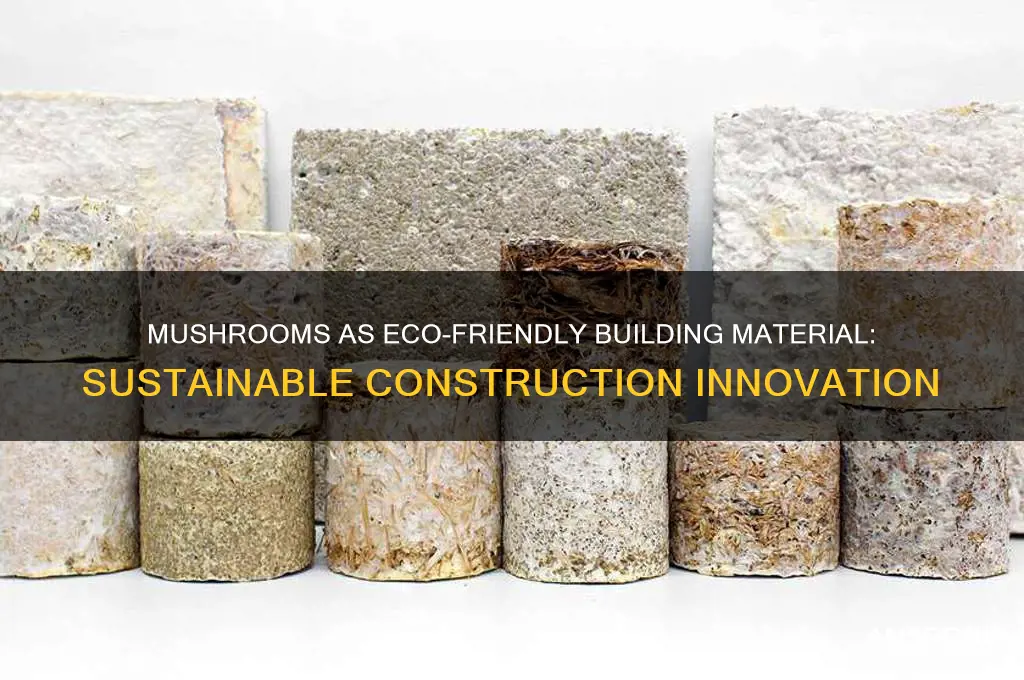 can mushrooms be used as building material