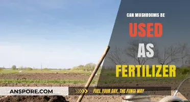 Mushrooms as Fertilizer: Unlocking Soil Health Benefits Naturally