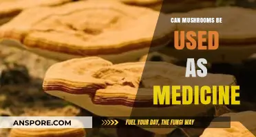 Exploring Mushrooms' Medicinal Potential: Ancient Remedies, Modern Science