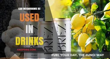 Mushroom Magic: Exploring the Use of Fungi in Beverages