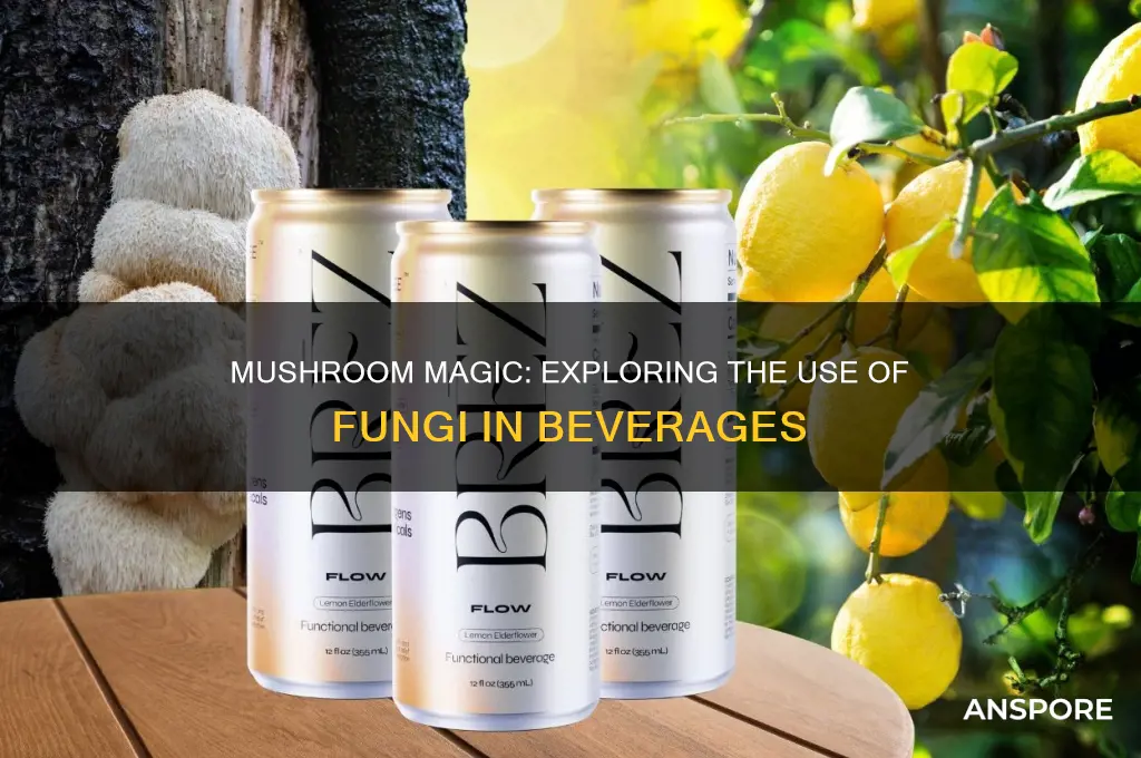 can mushrooms be used in drinks