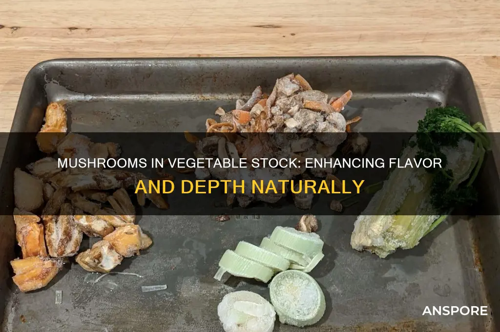 can mushrooms be used in vegetable stock