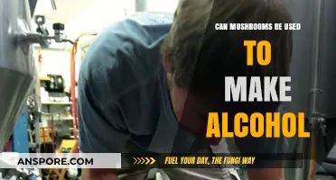 Brewing with Fungi: Exploring Mushroom-Based Alcohol Production Techniques