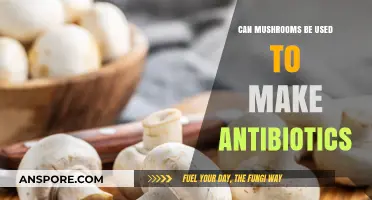 Mushrooms as Antibiotics: Unlocking Nature's Healing Potential