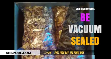 Vacuum Sealing Mushrooms: A Guide to Preservation and Freshness