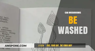 Can Mushrooms Be Washed? The Ultimate Cleaning Guide for Fresh Fungi