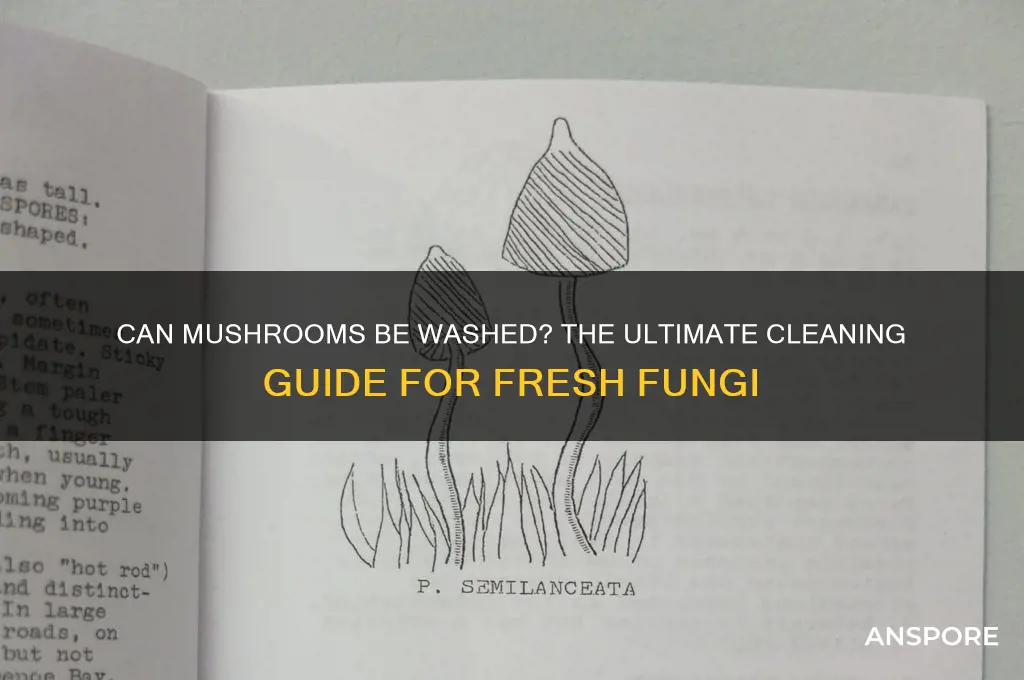can mushrooms be washed
