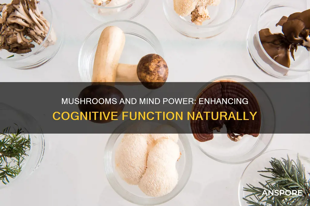 can mushrooms boost brain function