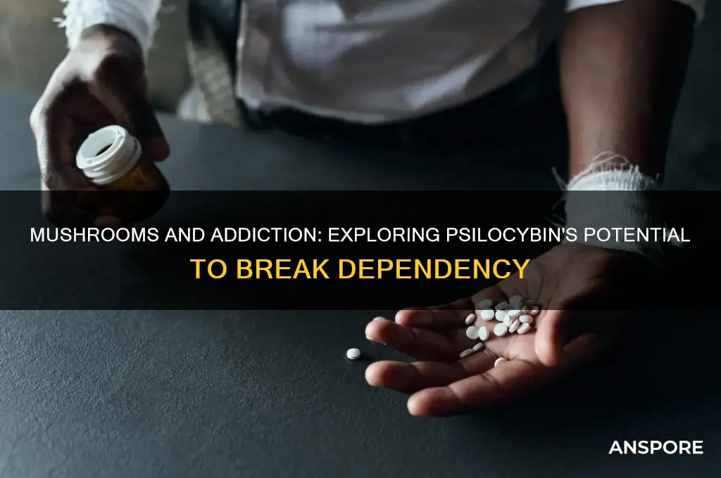 can mushrooms break addiction