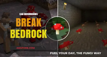 Mushrooms vs. Bedrock: Unraveling the Myth of Fungal Power