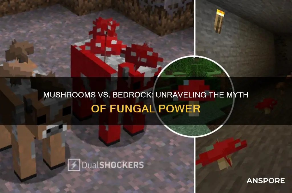 can mushrooms break bedrock