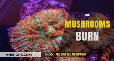 Can Mushrooms Burn? Exploring Combustibility and Fire Risks