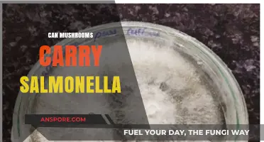Can Mushrooms Carry Salmonella? Unveiling the Truth About Food Safety