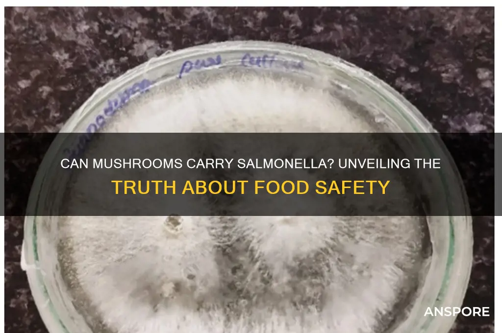can mushrooms carry salmonella