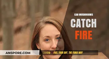 Can Mushrooms Catch Fire? Exploring Flammability and Fungal Safety