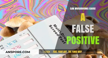 Can Mushrooms Trigger False Positives in Drug Tests?