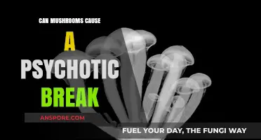 Mushrooms and Mental Health: Unraveling the Psychotic Break Myth
