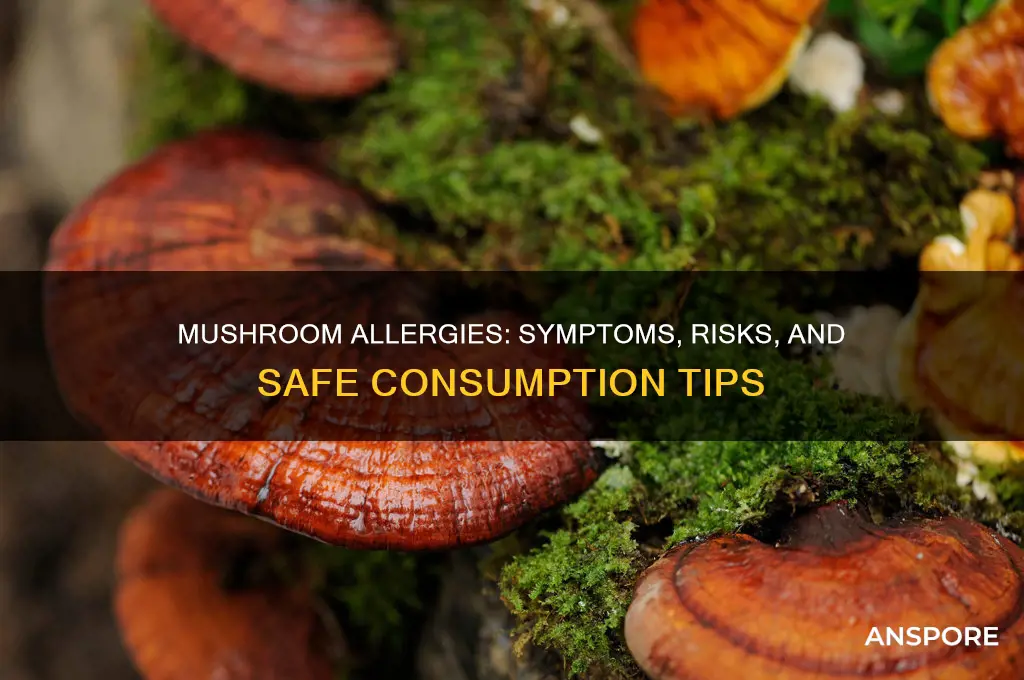 can mushrooms cause allergic reaction