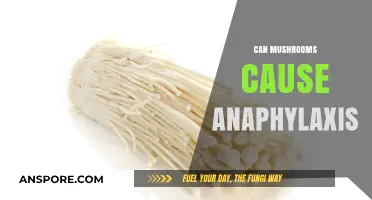 Mushrooms and Anaphylaxis: Uncovering the Rare but Serious Allergic Reaction
